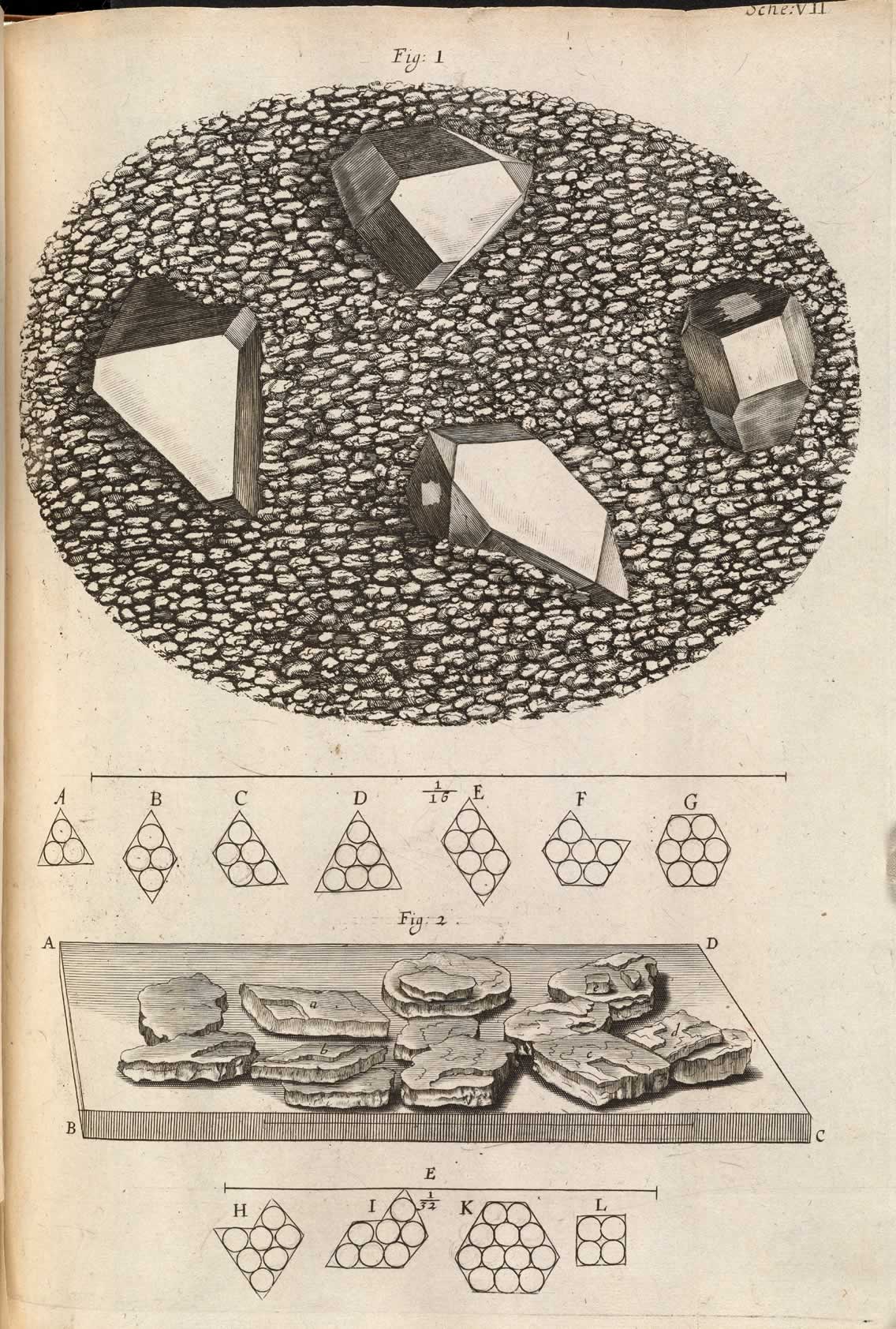 Image 2 from Micrographia by Robert Hooke