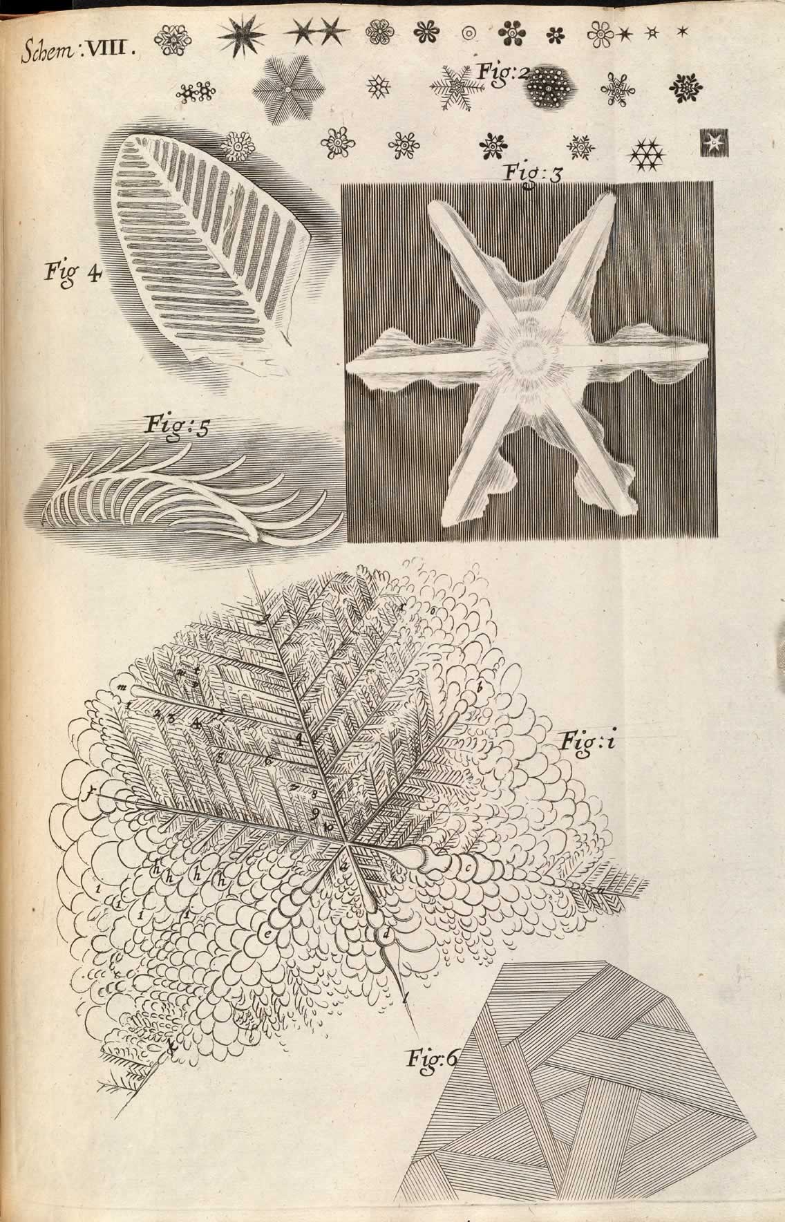 Image 3 from Micrographia by Robert Hooke.